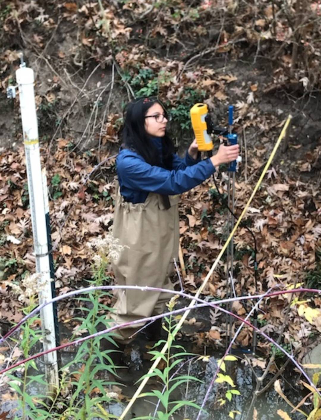 A person standing in a creek and measuring the volume of water discharge.